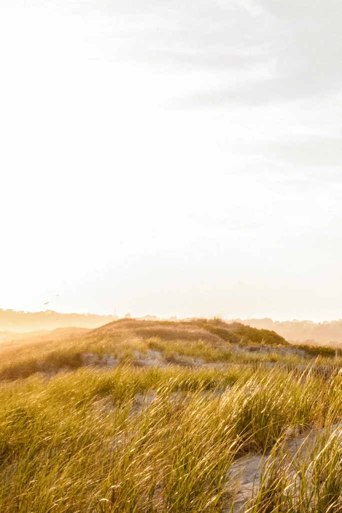 Melissa & Ryan: a warm outdoor session in Newport, Rhode Island