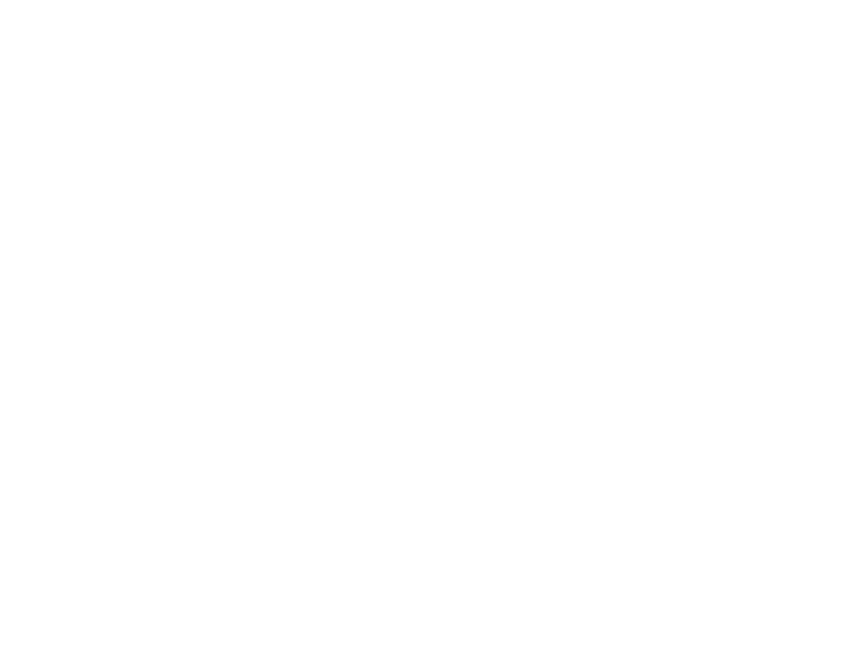Sabrina Scolari Photography