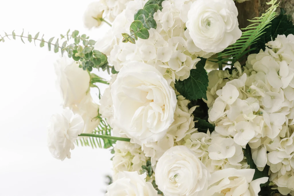 Sydni & Edmond: Castle Hill wedding in Newport, Rhode Island